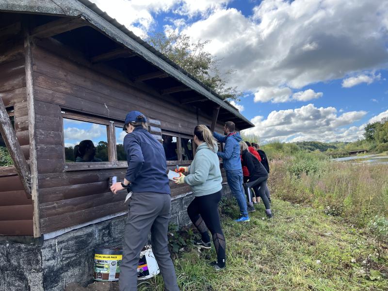 Painting hides 